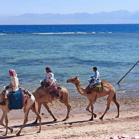 Cinderella Camp Nuweiba Hotell Eksteriør bilde
