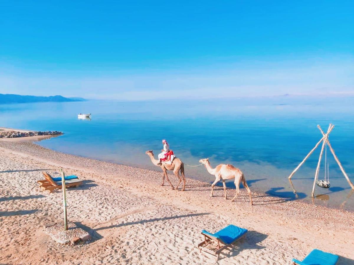 Cinderella Camp Nuweiba Hotell Eksteriør bilde